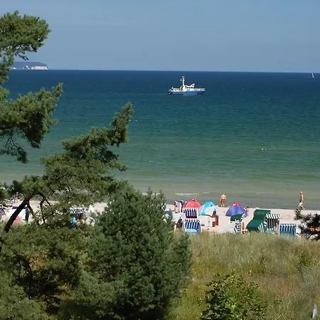 Ostsee_suite Stranddistel Bi * Binz